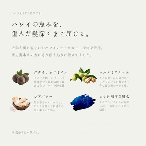 ルーラ コンディショナー 説明7