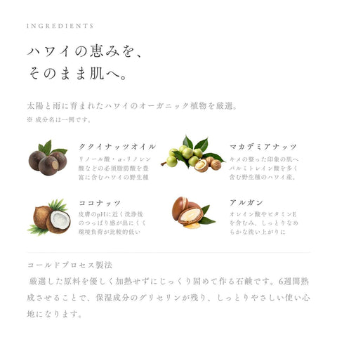 配合成分 ククイナッツオイル マカデミアナッツ ココナッツ アルガン コールドプロセス製法