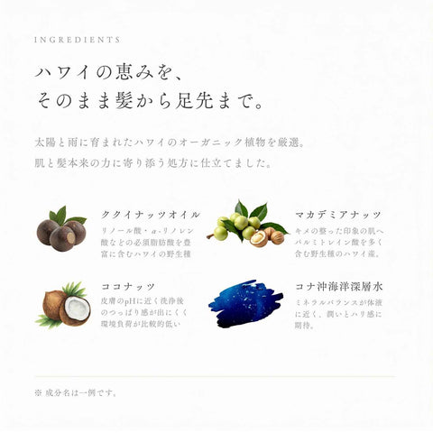 WELINA ORGANICS 全身シャンプー 説明画像5