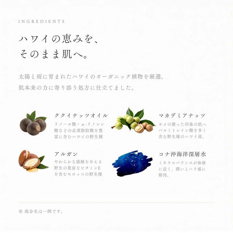 配合成分 ククイナッツオイル マカデミアナッツ アルガン コナ沖海洋深層水