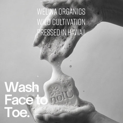 ノルゥソープ Wash Face to Toe